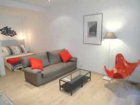 Apartment Moliere 1D - studio